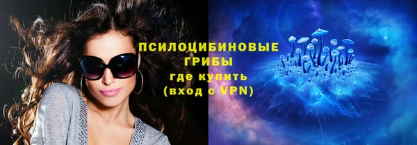 apvp Касимов